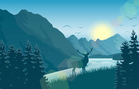 Top Camping Spots and Facilities