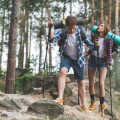 A Comprehensive Guide to Legal Wild Foraging in the UK: Rights, Ethics and Responsibilities