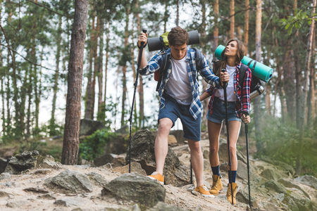 A Comprehensive Guide to Legal Wild Foraging in the UK: Rights, Ethics and Responsibilities