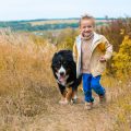 How to Teach Children About Outdoor Safety in the British Countryside