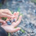 Crafting Bushcraft Tools from the UK Wilderness: Knives, Bows, and More