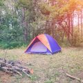 A Complete Guide to Wild Camping in the Scottish Highlands: Laws, Etiquette and Best Practices