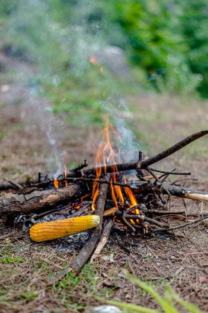 Packing the Perfect Camping Kitchen: Must-Have Gear for UK Campers