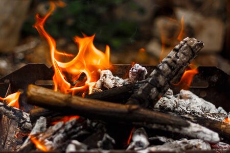Traditional British Camping Games for Children: From Rounders to Hide and Seek