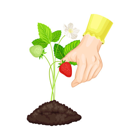 Iconic Edible Wild Plants of the UK