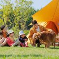 The Complete Guide to Packing Food and Cooking Supplies for Family Camping