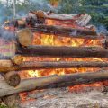 Practising Responsible Firecraft: Safe and Respectful Campfire Techniques in the UK
