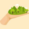 How to Leave No Trace While Wild Camping in the British Countryside