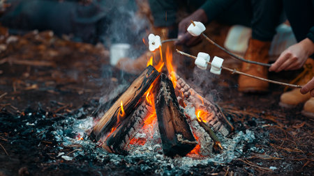 Cooking with Kids Over the Campfire: Classic British Recipes and Activities