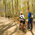 Best UK Campsites for Cyclists: Where to Pitch and Pedal