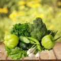 Essential Vegan and Vegetarian Pantry Staples for Camping in the UK
