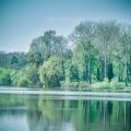 Discovering the Best Campsites Near Britain’s Historic Castles: A Comprehensive Guide