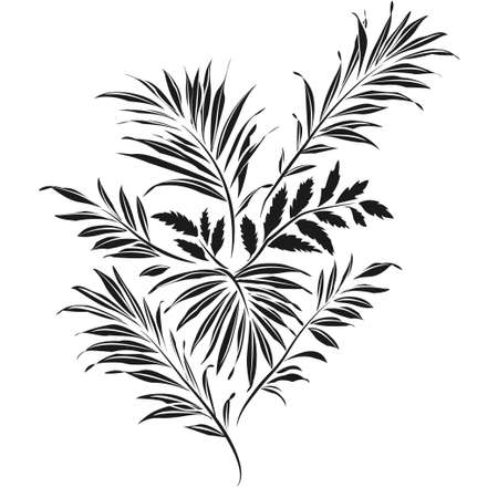 Healing Plants and Traditional Herbal Remedies of the UK Wilds