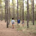 Reducing Your Environmental Footprint: Waste Management Strategies for British Campers