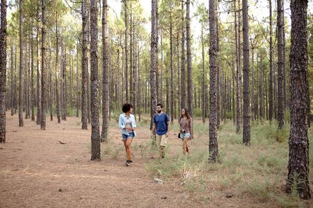 Reducing Your Environmental Footprint: Waste Management Strategies for British Campers