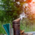 Are Wild Campers Criminalised? Breaking Down Byelaws, Fines, and Enforcement in the UK