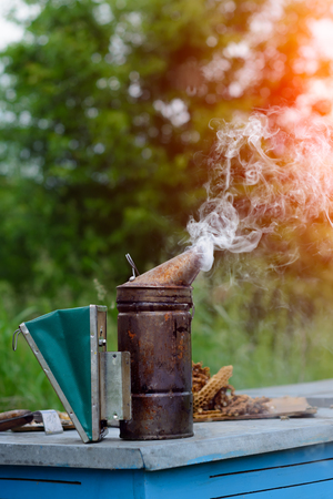 Are Wild Campers Criminalised? Breaking Down Byelaws, Fines, and Enforcement in the UK