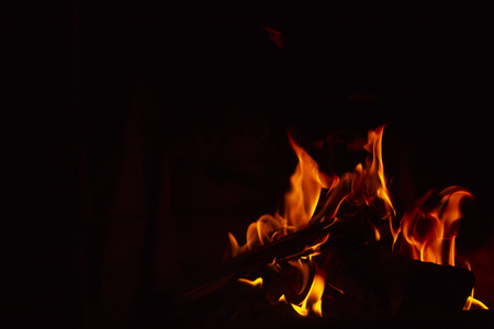 Bushcraft Cooking Techniques: From Bannock to Foraged Feasts Without a Stove