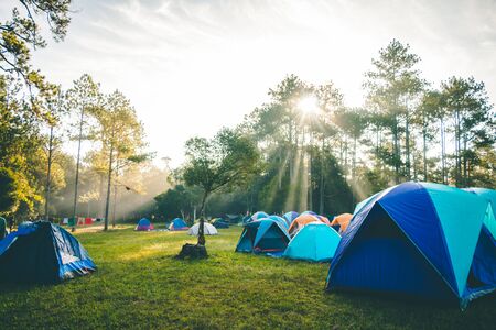 The Role of Club Sites vs. Independent Sites in the UK: Facilities, Hookups, and Services Explained