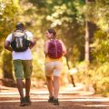 Backpacks vs. Duffel Bags: What Works Best for UK Outdoor Escapades?