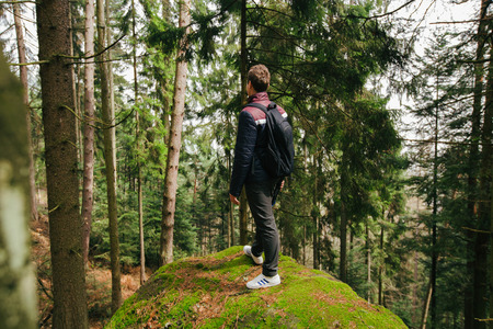 Climate Change, Biodiversity, and the Future of Sustainable Camping in the UK
