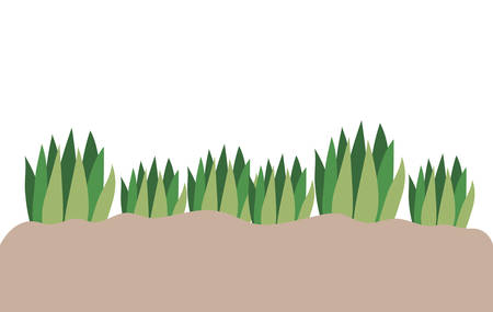 Recognising Flora: Common and Protected Plants