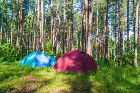 Must-Bring Items for Hiking and Walking Holidays in the British Countryside