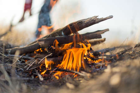 Firepit Feasts: One-Pot Barbecue-Style British Dishes Without the Fuss
