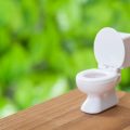 Regulations and Best Practices for Toilet Waste Disposal: A British Camper’s Guide