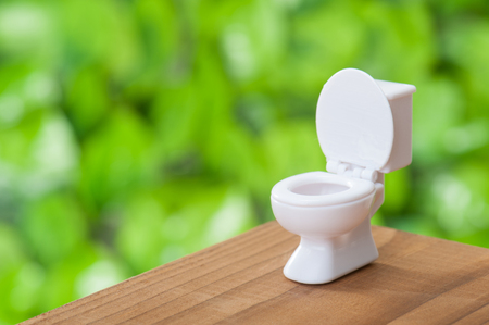Regulations and Best Practices for Toilet Waste Disposal: A British Camper’s Guide