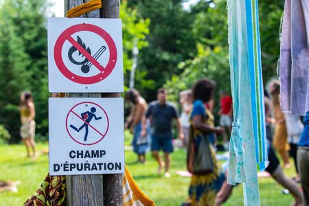 Pond Dipping and River Exploration: Safe Water-Based Activities for Kids in the UK