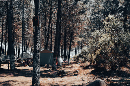 Wild Camping in the UK: What to Pack and What’s Legally Allowed