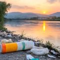 Litter and the British Landscape: Tackling the Challenge of Single-Use Plastics