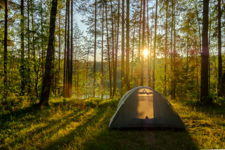 Wildlife Watching in the Rain: What You’ll See in Wet British Campsites