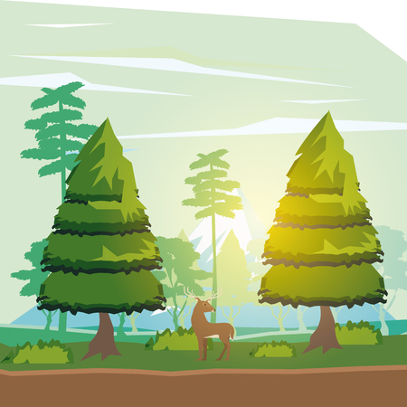 Wild Camping in the UK: The Legal Framework