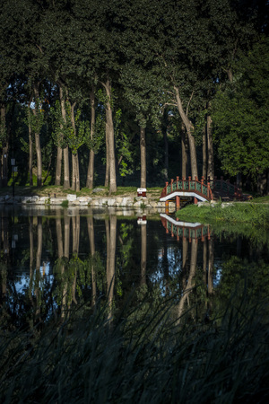 Camping by Cathedrals: Explore Medieval Cities and their Historic Surroundings