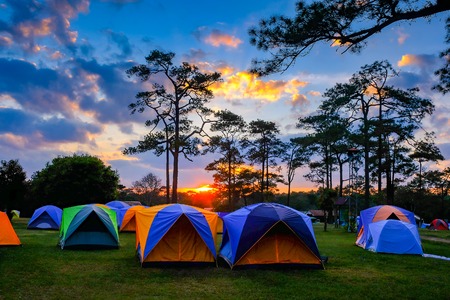 The Future of Sustainable Camping: Car-Free Trends and Innovations in the UK
