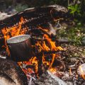 Cook Your Catch: Classic British Campfire Recipes for Freshly Caught Fish