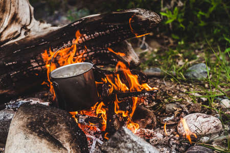 Cook Your Catch: Classic British Campfire Recipes for Freshly Caught Fish
