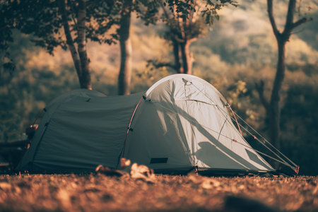 The Future of Sustainable Camping in the UK: Trends and Innovations