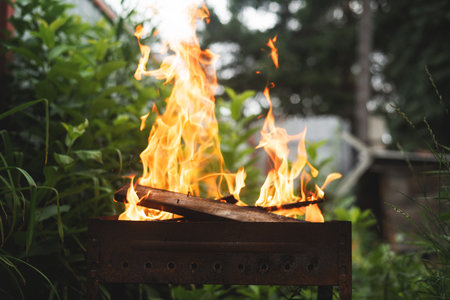 Fire Safety Essentials: Campfires, Barbecues, and Child Protection