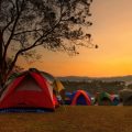 Best UK Campsites and Wild Camping Laws for New Van Converters