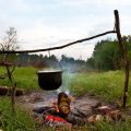 Wild Edibles and Cooking: Safely Harvesting and Preparing Food Over a Campfire in Britain