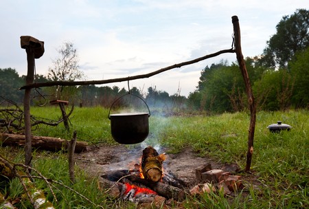 Wild Edibles and Cooking: Safely Harvesting and Preparing Food Over a Campfire in Britain