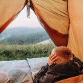How to Respect British Wildlife While Camping: Leave No Trace Ethics