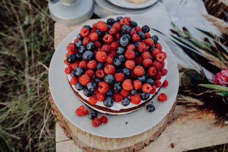 How to Identify and Use Common British Wild Herbs for Bushcraft and Wild Feasts