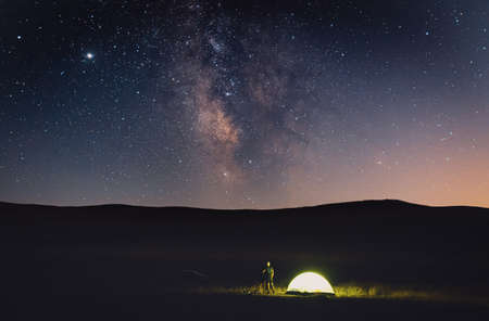 Wildlife Encounters and Night Sounds: Experiencing Nature While Stargazing in the UK