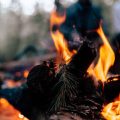 Emergency Fire Starting: Wet Weather Survival Skills for UK Wild Camping