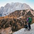 Dog-Friendly Hiking Routes and Campsites: A Practical Guide
