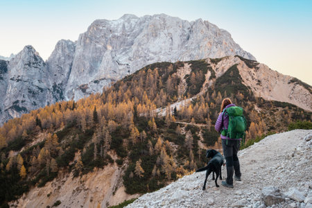 Dog-Friendly Hiking Routes and Campsites: A Practical Guide